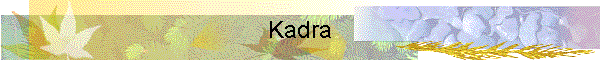 Kadra