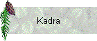 Kadra