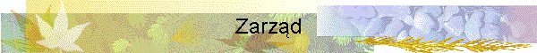 Zarzd