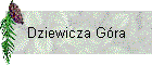 Dziewicza Gra