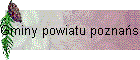 Gminy powiatu poznaskiego