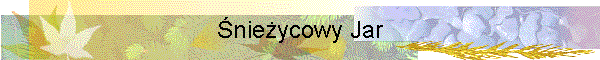 nieycowy Jar