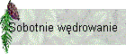 Sobotnie wdrowanie