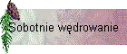 Sobotnie wdrowanie