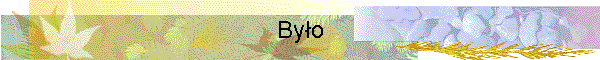 Byo