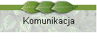 Komunikacja