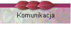 Komunikacja