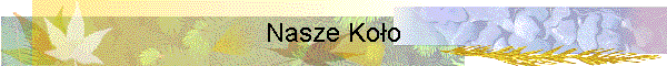 Nasze Koo