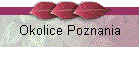 Okolice Poznania